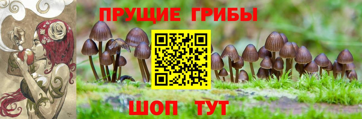 Шали  Псилоцибиновые грибы мицелий  Вход с VPN 