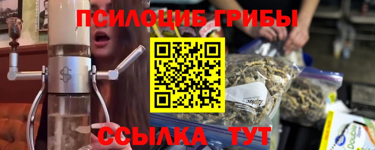 Псилоцибиновые грибы прущие грибы Шали