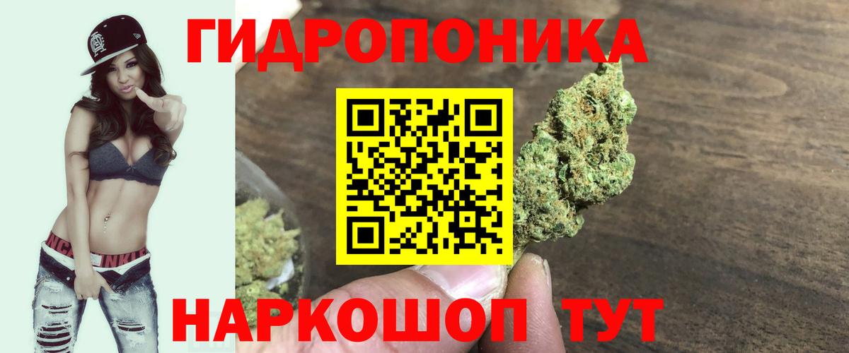 Каннабис индика  Вход с VPN  Конопля SATIVA & INDICA  Шали  МАРИХУАНА семена 
